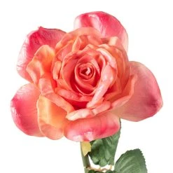 Promo 💯 6 Pack: Pink Rose Stem by Ashland® 🛒 -Ashlandty Shop MP626868 20