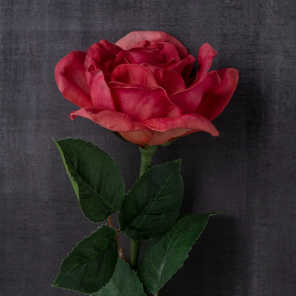 Best Sale ⌛ 6 Pack: Fuchsia Rose Stem by Ashland® ⌛ 8 Best Sale ⌛ 6 Pack: Fuchsia Rose Stem by Ashland® ⌛ - Image 6