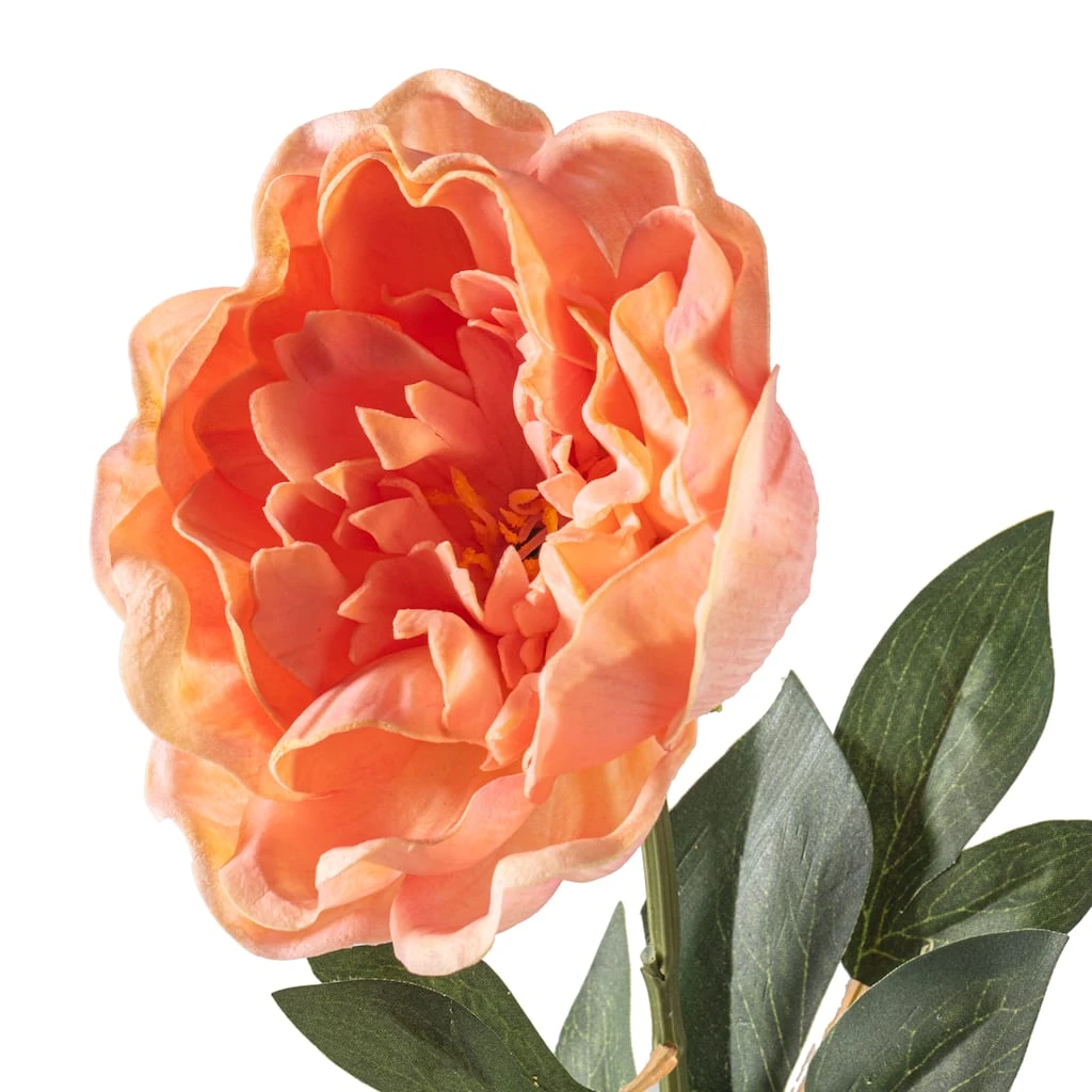 Brand new 𧨠6 Pack: Blush Peony Stem by Ashland® π 8 Brand new 𧨠6 Pack: Blush Peony Stem by Ashland® π - Image 6