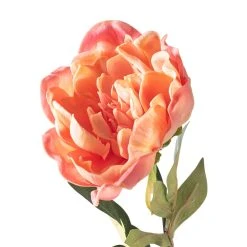 Best Sale ⭐ 6 Pack: Pink Peony Stem by Ashland® 😀 -Ashlandty Shop MP626888 20