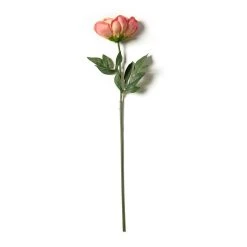 Best Sale ⭐ 6 Pack: Pink Peony Stem by Ashland® 😀 -Ashlandty Shop MP626888 21