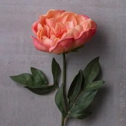 Best Sale ⭐ 6 Pack: Pink Peony Stem by Ashland® 😀 -Ashlandty Shop MP626888 22