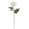 Promo ⌛ 12 Pack: White Peony Stem by Ashland® ❤️ -Ashlandty Shop MP626894 1