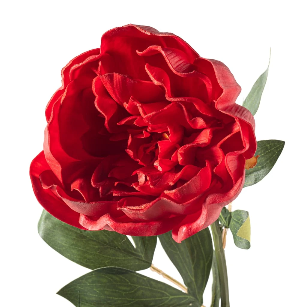 Top 10 🤩 6 Pack: Red Peony Stem by Ashland® 🔥 7 Top 10 🤩 6 Pack: Red Peony Stem by Ashland® 🔥 - Image 5