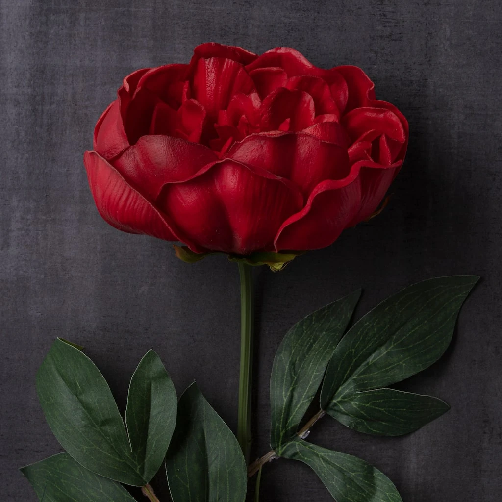 Top 10 🤩 6 Pack: Red Peony Stem by Ashland® 🔥 6 Top 10 🤩 6 Pack: Red Peony Stem by Ashland® 🔥 - Image 4