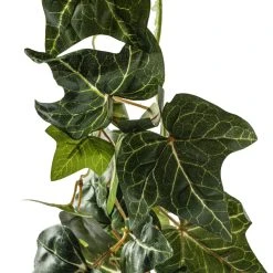 Best reviews of ⭐ 4 Pack: 6ft. Green English Ivy Garland by Ashland® 🔥 -Ashlandty Shop MP626978 20
