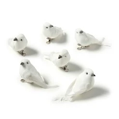 Deals 🌟 8 Packs: 6 ct. (48 total) White Feather Birds by Ashland® ✨ -Ashlandty Shop MP627156 21