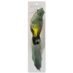 Best reviews of ✔️ 12 Pack: Assorted Feather Parrots by Ashland® 😀 -Ashlandty Shop MP627157 20
