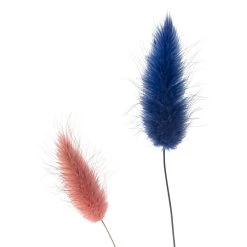 Discount 👍 8 Pack: Assorted Lagurus Bundle by Ashland® ✨ -Ashlandty Shop MP628609 20