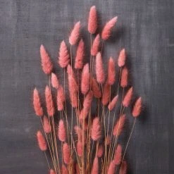 Discount 👍 8 Pack: Assorted Lagurus Bundle by Ashland® ✨ -Ashlandty Shop MP628609 22