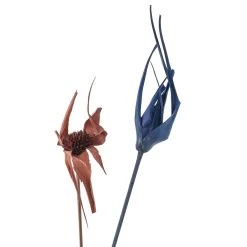 Wholesale ⌛ 8 Pack: Assorted Star Grass Bundle by Ashland® 🤩 -Ashlandty Shop MP628613 20