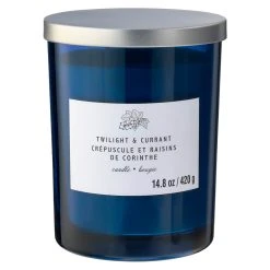 Wholesale 🤩 8 Pack: Twilight & Currant 2-Wick Jar Candle by Ashland® 😀