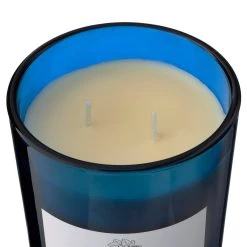 Wholesale 🤩 8 Pack: Twilight & Currant 2-Wick Jar Candle by Ashland® 😀 -Ashlandty Shop MP638398 31