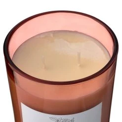 New 💯 8 Pack: Peony & Rose 2-Wick Jar Candle by Ashland® ⭐ -Ashlandty Shop MP638399 31