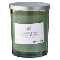 Best deal ❤️ 8 Pack: Eucalyptus & Sage 2-Wick Jar Candle by Ashland® 🛒