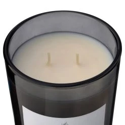 Wholesale 🛒 8 Pack: Embers & Musk 2-Wick Jar Candle by Ashland® 🔥 -Ashlandty Shop MP638410 31