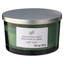New ✔️ 8 Pack: Eucalyptus & Sage 3-Wick Jar Candle by Ashland® 👍