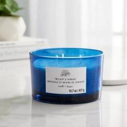 Budget ❤️ 8 Pack: Twilight & Currant 3-Wick Jar Candle by Ashland® 😍 -Ashlandty Shop MP638416 20