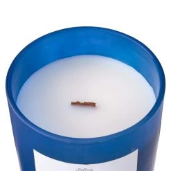 Top 10 👍 8 Pack: Blue Cedar & Fig Wooden Wick Jar Candle by Ashland® ❤️ -Ashlandty Shop MP638432 31