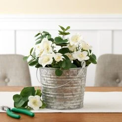 Discount ⌛ 12 Pack: 6.3" Galvanized Pail by Ashland® 😀 -Ashlandty Shop MP671574 20